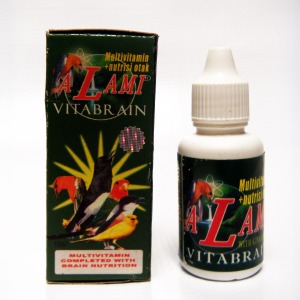 alami vitabrain multivitamin nutrisi otak burung